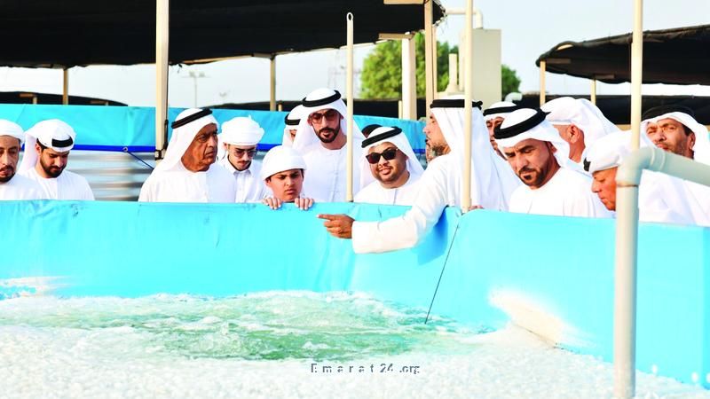 الفجيرة تشهد انطلاق مشروع رائد لاستزراع الروبيان الفجيرة تشهد انطلاق مشروع رائد لاستزراع الروبيان