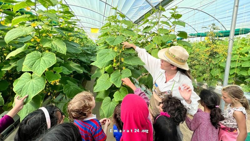 استثمار مستدام لطاقات الطلاب في الأنشطة الصيفية استثمار مستدام لطاقات الطلاب في الأنشطة الصيفية