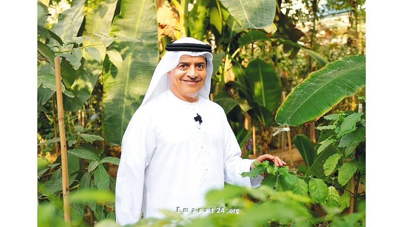 مزارع إماراتي يتخطى صعوبات البيئة بزراعة النباتات النادرة
