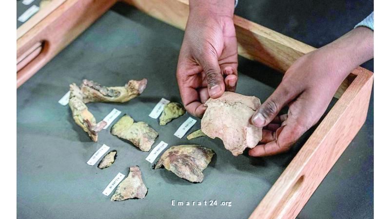 قصة العظماء: عظام لوسي في براغ لمدة 60 يوماً