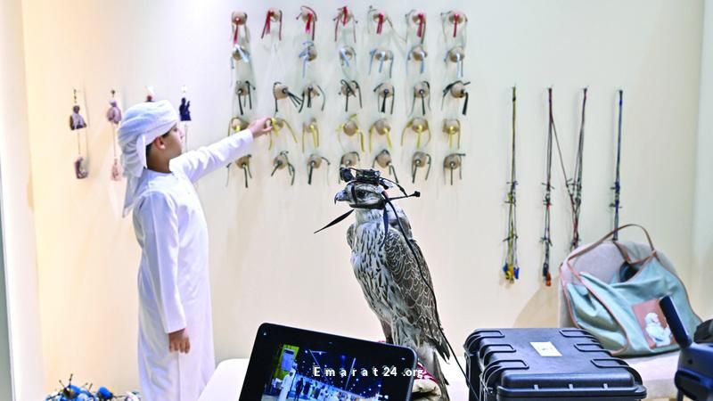 إماراتيات يحوّلن نجاحاتهن الشخصية لمنصات تزخر بالإبداع والابتكار