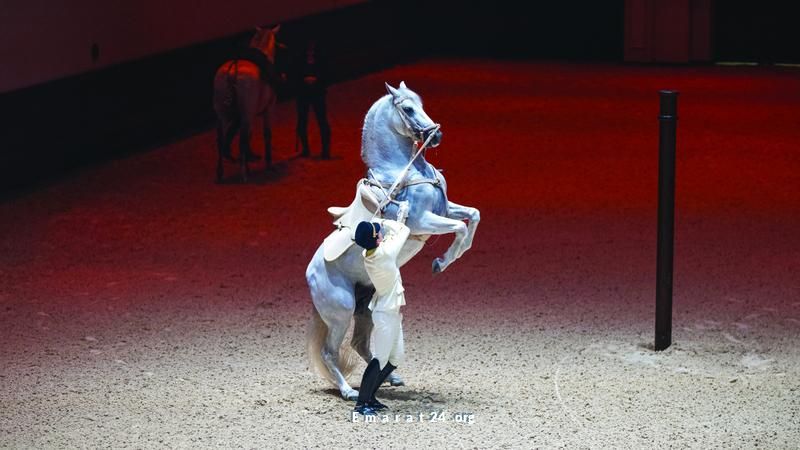 الفروسية بأناقة إماراتية: تراث عالمي يجذب الأنظار