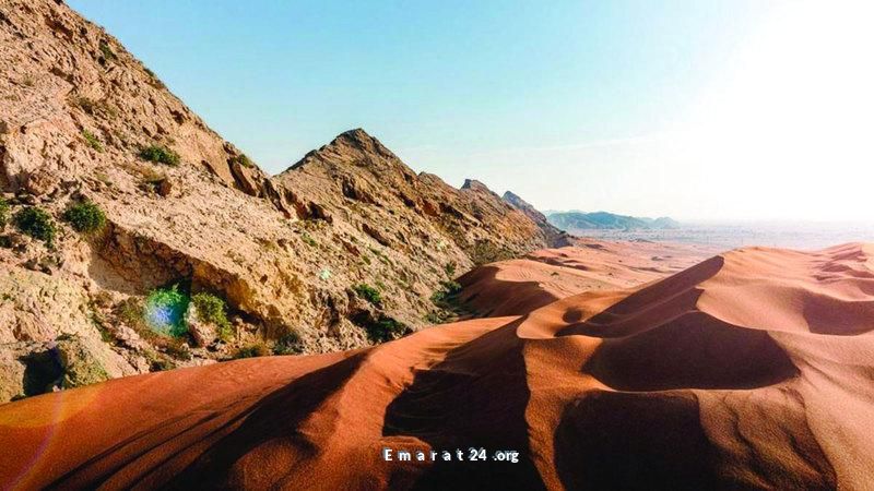 سالم القاسمي: الفاية إنجاز تاريخي ونتاج تعاون وطني مميز سالم القاسمي: الفاية إنجاز تاريخي ونتاج تعاون وطني مميز