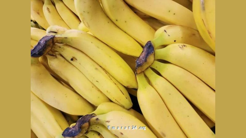 استكشف الفوائد الصحية للموز بمختلف ألوانه: الأخضر، الأصفر، والبني