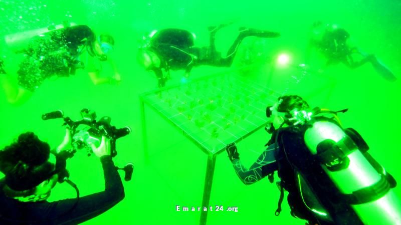 التصوير الذكي يساعد في إنقاذ الشعاب المرجانية المتضررة بالفجيرة