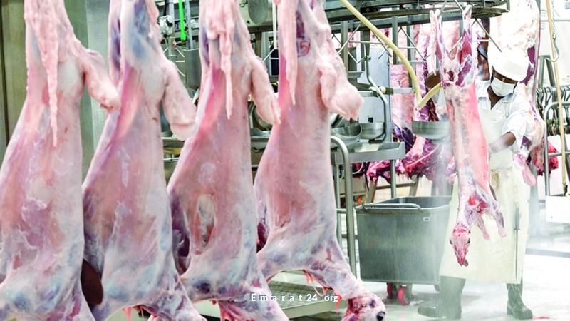 حملة توعوية جديدة في أبوظبي لذبح أضاحي عيد الأضحى بأمان وصحة حملة توعوية جديدة في أبوظبي لذبح أضاحي عيد الأضحى بأمان وصحة