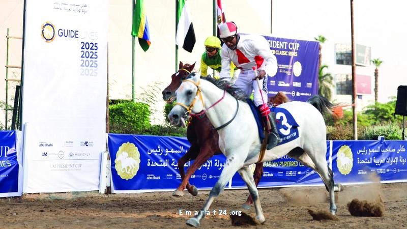 الجواد فهد الأمين يتوج بكأس رئيس الدولة للخيول العربية في مصر الجواد فهد الأمين يتوج بكأس رئيس الدولة للخيول العربية في مصر