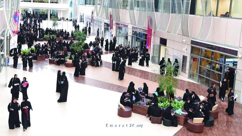 4 برامج مبتكرة لتحديث نظام التعليم العالي بالدولة