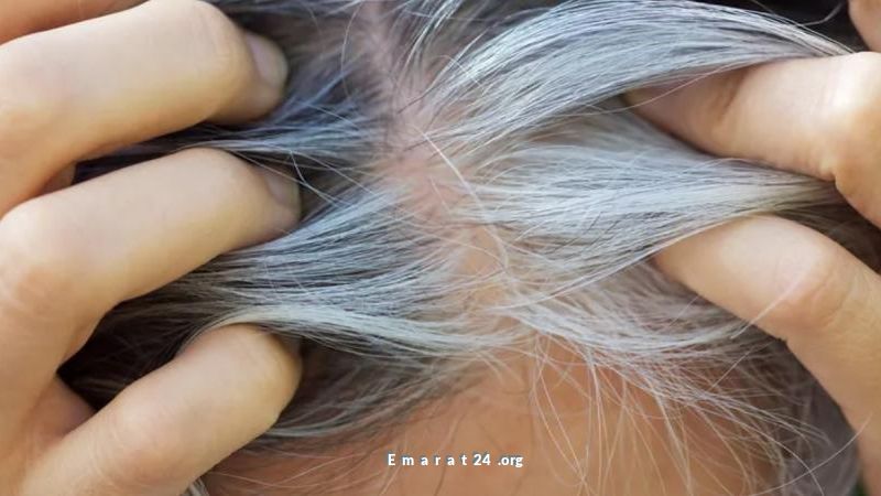 دراسة حديثة: دروع تحمي من السرطان بدلاً من دلالات الشيخوخة