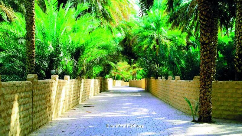 الواحات في العين تحفة فنية تمزج بين الجمال والاستدامة الواحات في العين تحفة فنية تمزج بين الجمال والاستدامة