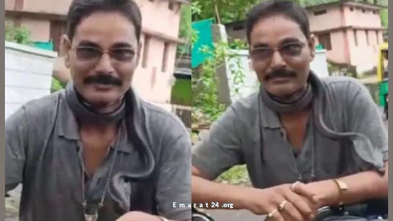 صائد الثعابين الشهير يتلقى عضة قاتلة من ثعبان ملفوف حول عنقه صائد الثعابين الشهير يتلقى عضة قاتلة من ثعبان ملفوف حول عنقه