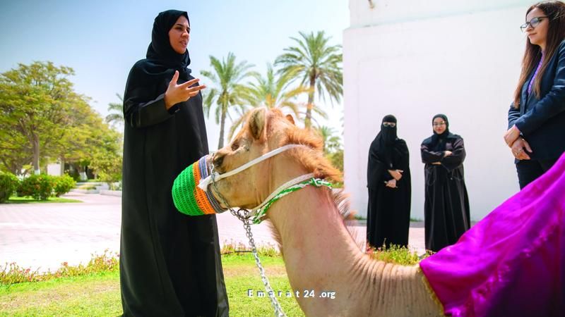 الحيوانات الأليفة: دعم نفسي مبتكر لضحايا العنف في 2024