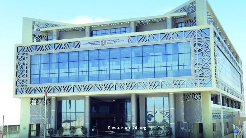 بدء تطبيق حظر العمل وقت الظهيرة 15 يونيو وحتى 15 سبتمبر بدء تطبيق حظر العمل وقت الظهيرة 15 يونيو وحتى 15 سبتمبر
