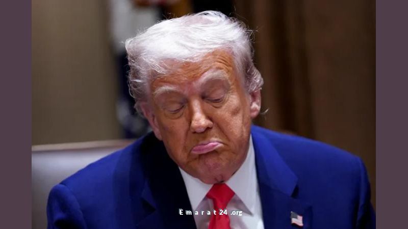حزب ألماني يدعو لمنح ترامب لقب المواطن الفخري بسبب أصوله الألمانية حزب ألماني يدعو لمنح ترامب لقب المواطن الفخري بسبب أصوله الألمانية
