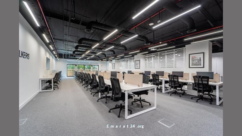 استثمار آمن في دبي: موطن التمويل الدولي طويل الأمد استثمار آمن في دبي: موطن التمويل الدولي طويل الأمد