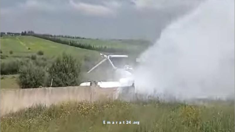 طيار يفقد حياته لينقذ سلحفاة على المدرج طيار يفقد حياته لينقذ سلحفاة على المدرج