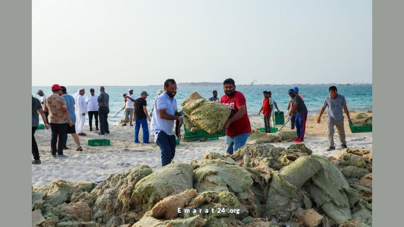 دور المجتمع في دعم الاستدامة البيئية مع هيئة كهرباء دبي