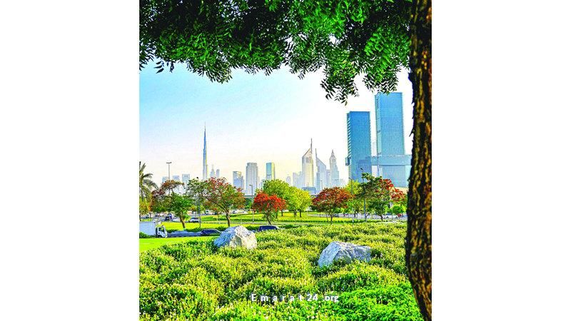 شعلة الصحراء تبرز جمال المشهد العربي بكل أناقة شعلة الصحراء تبرز جمال المشهد العربي بكل أناقة