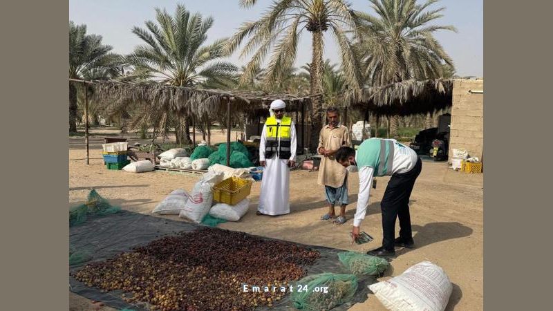 تدوير تبدأ حملة جديدة لدعم التخلص السليم من النفايات الزراعية تدوير تبدأ حملة جديدة لدعم التخلص السليم من النفايات الزراعية