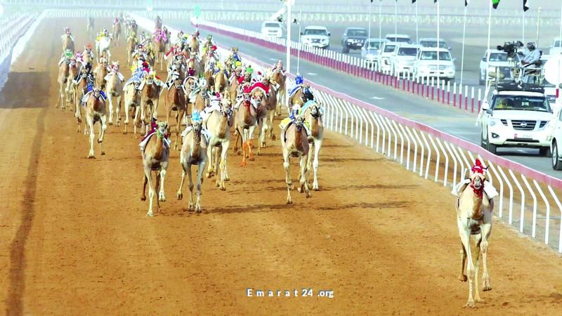 مهرجان العين للهجن: صون التراث عبر سباقات مثيرة مهرجان العين للهجن: صون التراث عبر سباقات مثيرة