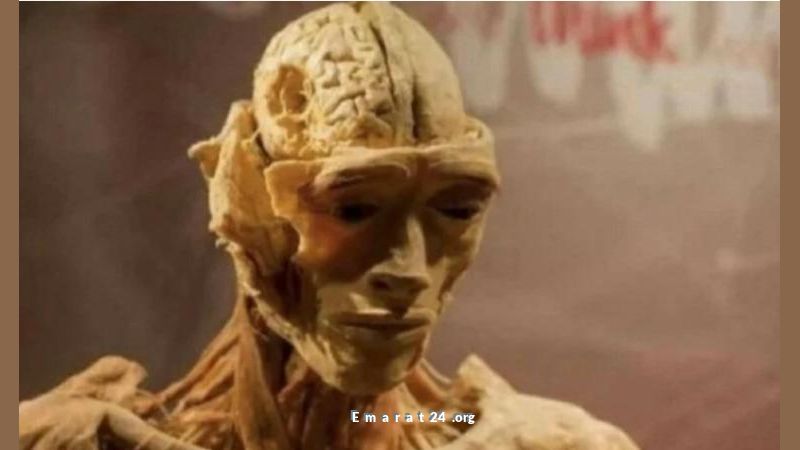 جثة شاب أمريكي تُعرض للجمهور كتمثال لمدة عشرين عاماً