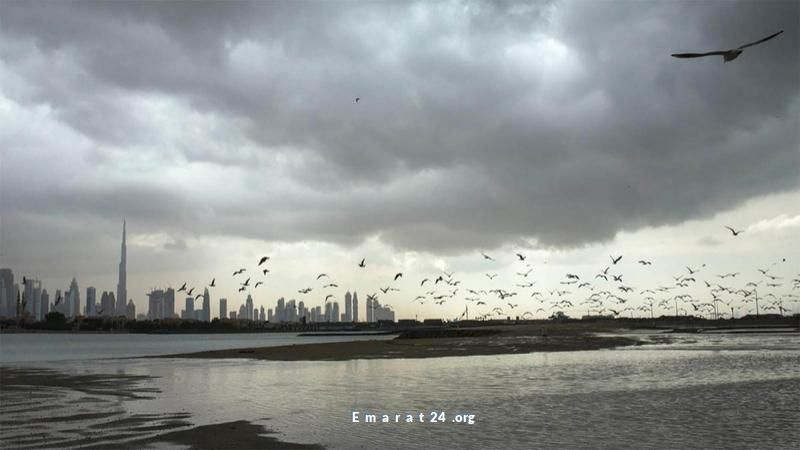 ضباب وأمطار محتملة حسب هيئة الأرصاد الجوية ضباب وأمطار محتملة حسب هيئة الأرصاد الجوية