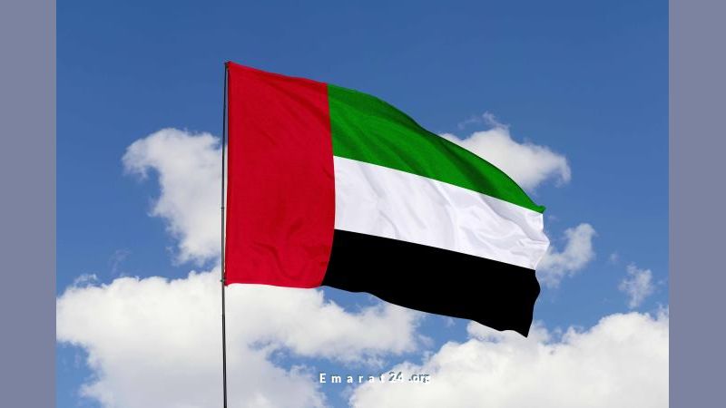 الإمارات تكرم المعلمين في يومهم العالمي لإسهامهم في بناء المستقبل