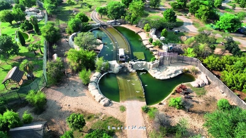 حديقة سفاري دبي: تحقيق إنجازات نوعية في موسم مميز حديقة سفاري دبي: تحقيق إنجازات نوعية في موسم مميز