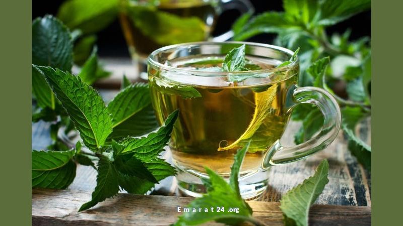 اكتشف فوائد النعناع الصحية المذهلة لشايك اليومي اكتشف فوائد النعناع الصحية المذهلة لشايك اليومي