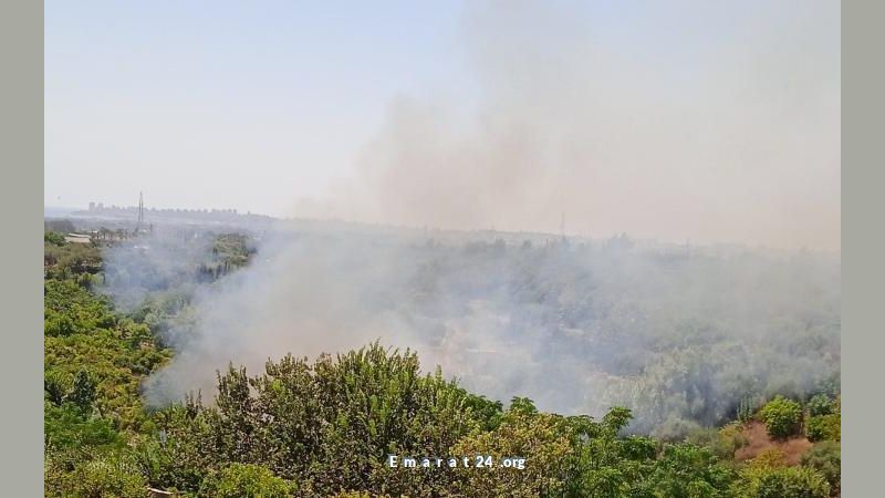 الدفاع السورية: إحباط محاولة إشعال حرائق بريف اللاذقية الدفاع السورية: إحباط محاولة إشعال حرائق بريف اللاذقية