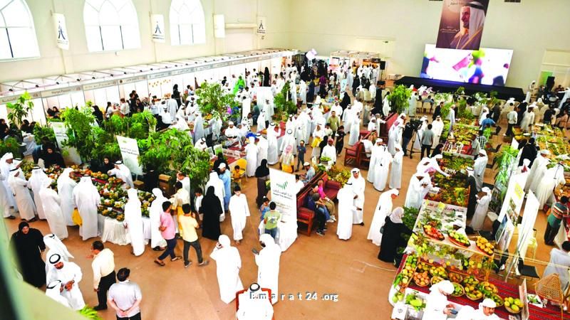 مهرجان خورفكان للمانجو يستقطب عشرات آلاف الزوار