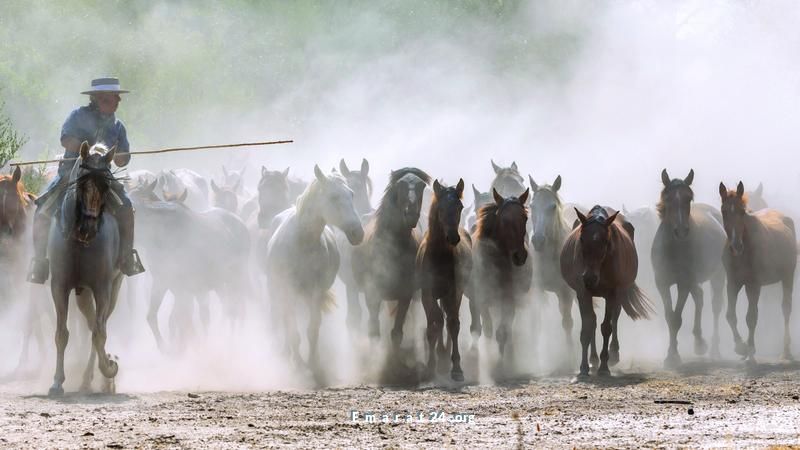 مهرجان قفز الخيول في إسبانيا يحتفل بمرور 520 عاماً