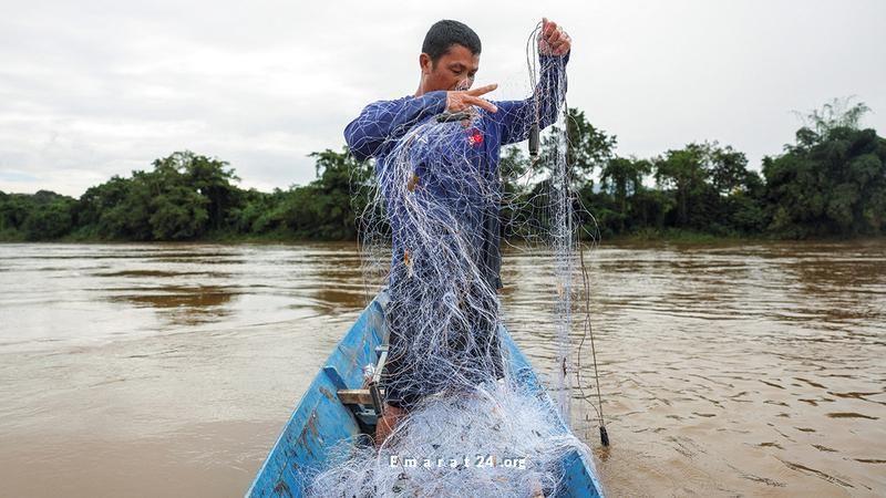 الأنهار الملوثة في تايلاند تمنع السكان من تناول الأسماك الطازجة