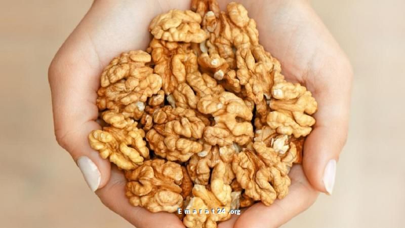 عنصر غذائي يعزز صحة الدماغ مع تقدم العمر عنصر غذائي يعزز صحة الدماغ مع تقدم العمر