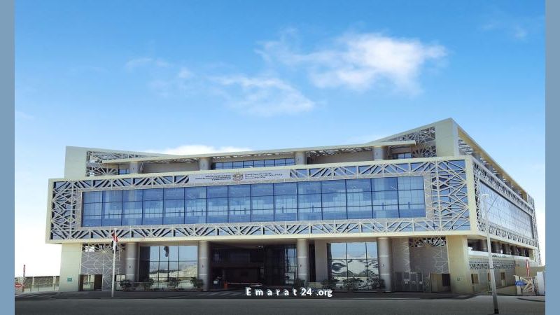 تعرف على 4 فوائد للتأمين ضد التعطّل عن العمل تعرف على 4 فوائد للتأمين ضد التعطّل عن العمل