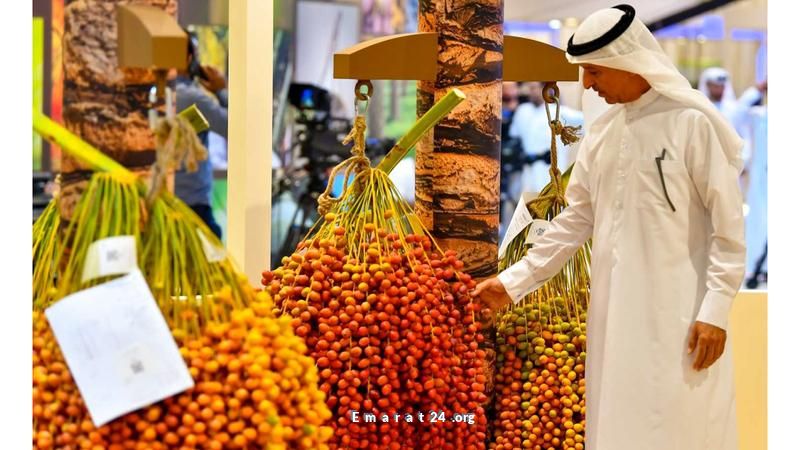 مركز التراث يطلق بطولة تمرة البيت للمنافسات التراثية مركز التراث يطلق بطولة تمرة البيت للمنافسات التراثية