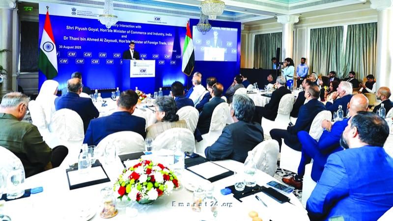 الإمارات والهند تسعيان لتعزيز المنافع الاقتصادية من شراكتهما الشاملة