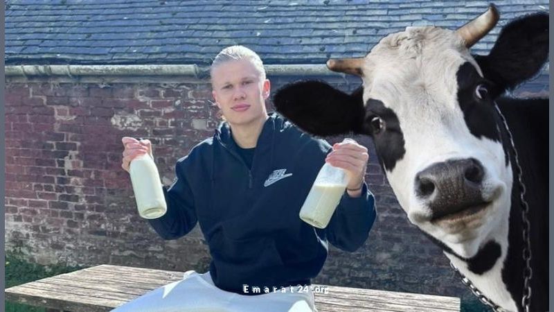 الغذاء السري لهالاند: الجدل يتواصل حول مصدر تألقه الغذاء السري لهالاند: الجدل يتواصل حول مصدر تألقه