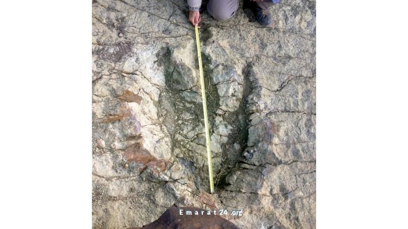 أكبر اكتشاف ديناصورات في بوليفيا يثير اهتمام العلماء