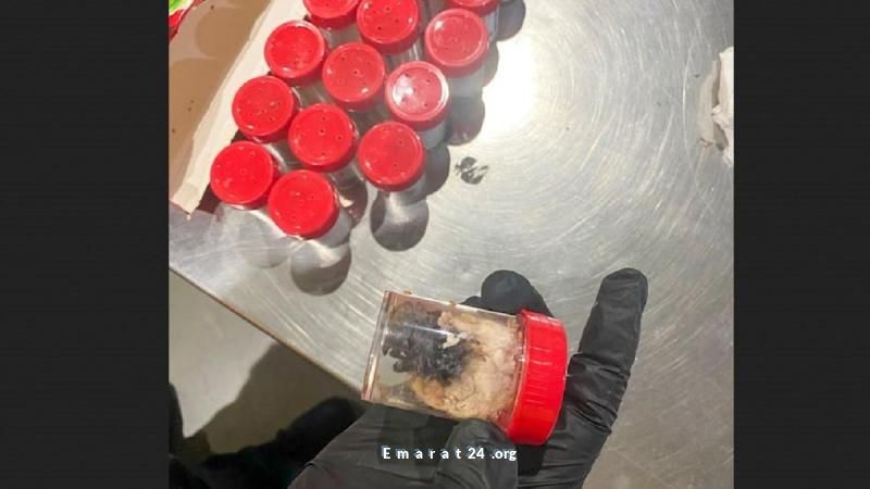 صدمه غير متوقعه في المطار: اكتشاف 1500 عنكبوت في عبوات البسكويت صدمه غير متوقعه في المطار: اكتشاف 1500 عنكبوت في عبوات البسكويت