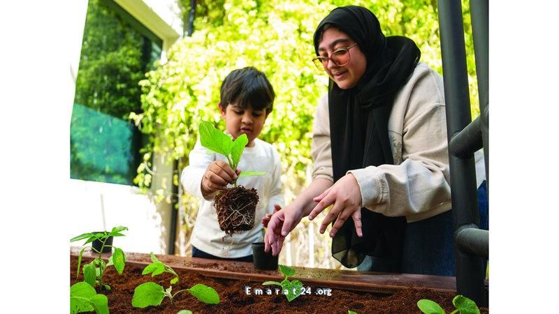 عطاء المستقبل: طلاب يزرعون 2500 نبتة في قلب أبوظبي عطاء المستقبل: طلاب يزرعون 2500 نبتة في قلب أبوظبي
