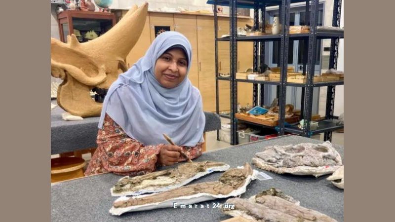 اكتشاف بقايا تمساح نادر من زمن الديناصورات في مصر اكتشاف بقايا تمساح نادر من زمن الديناصورات في مصر