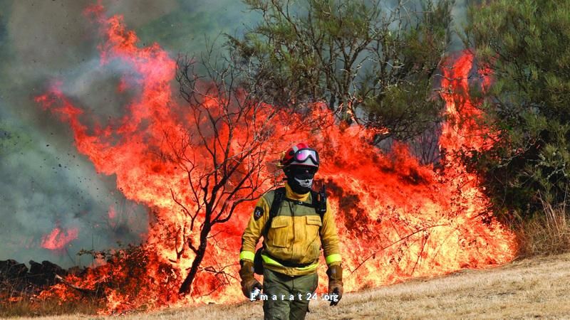 زيادة حرائق شبه الجزيرة الأيبيرية بسبب هجرة الأرياف وإهمال إدارة الغابات زيادة حرائق شبه الجزيرة الأيبيرية بسبب هجرة الأرياف وإهمال إدارة الغابات