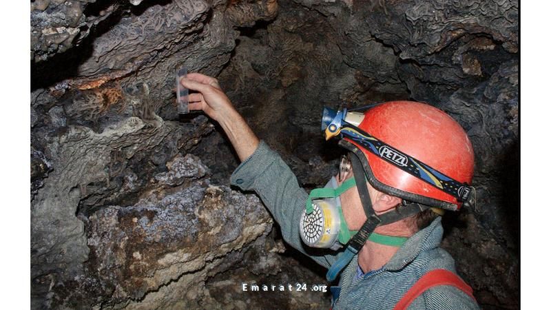 اكتشاف شبكة ضخمة مكونة من 111 ألف عنكبوت